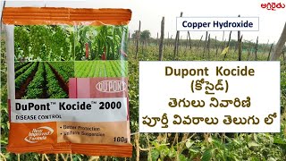 Dupont Kocide fungicide కోసైడ్ తెగులు నివారిణి in Telugu  Copper Hydroxide [upl. by Adria]