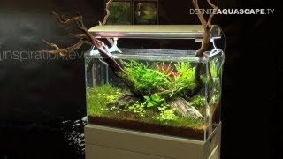 Aquascaping  Aquarium Ideas from Aquatics Live 2011 part 4 [upl. by Laaspere161]