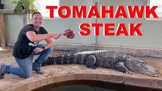 Feeding My Alligators GIANT STEAKS [upl. by Tallu]