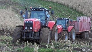 Massey Ferguson 8480 helping Out Stuck MF 7495 from the MUD  Maisernte 2019  DK Agri [upl. by Decamp]