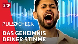 Deine Stimme – Wie sie funktioniert und auf andere wirkt  Puls Check  SRF  Puls Check  SRF [upl. by Scharf]