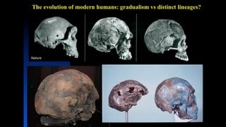 CARTA The Origin of Us  Fossils of Modern Humans Interbreeding within and outside of Africa [upl. by Eelyme]