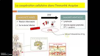 CBSV  Rôle CPA et coopération cellulaire [upl. by Ehtyaf]