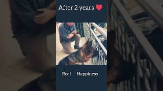 Dog 🐶 Real Happiness funny [upl. by Notrab]