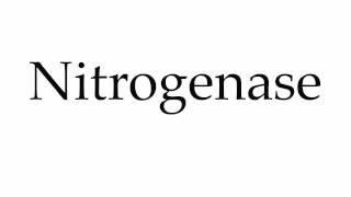 How to Pronounce Nitrogenase [upl. by Asiat]