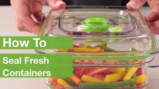 How To Seal Fresh Containers  FoodSaver® [upl. by Gerardo844]