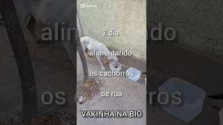 VAKINHA NA DESCRIÇÃO Eu não consigo manter issoTiktok thaynaafonsoo shorts viralvideo help [upl. by Laen]