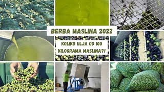 BOJE ZEMLJE Koliko ulja od 100 kilograma maslina [upl. by Rayburn850]