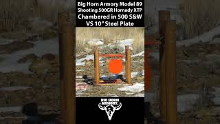 Big Horn Armory Model 89 VS 10quot Steel Target [upl. by Hyacintha]