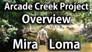 Arcade Creek Project Overview  Mira Loma High School [upl. by Ydoc171]