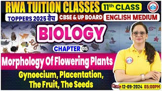 Class 11 Biology Chapter 5  Morphology Of Flowering Plants By Vandana Mam [upl. by Sulrac]