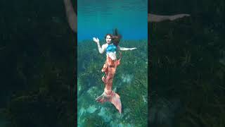 1st swim in new custom Mertailor mermaid tail mertailor mermaid mermaidtail floridasprings [upl. by Kaslik322]