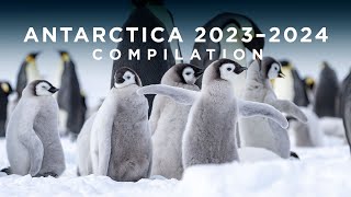 Antarctica 20232024 Compilation [upl. by Yxel107]