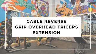 CABLE REVERSE GRIP OVERHEAD TRICEPS EXTENSION [upl. by Timmie251]