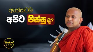 ඇත්තටම අපිට පිස්සුද   ven Welimada Saddaseela thero shakyaarana [upl. by Ahsinroc]