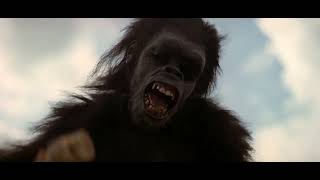 2001 A Space Odyssey Apes Dawn of Man scene [upl. by Lallage]