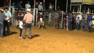 Jaripeo y Niños montando a los Borregos [upl. by Enomaj]