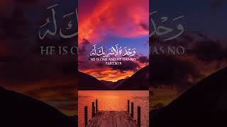 islam foryou foryoupage islamicstatus viralvideo viralshort viralshorts duet [upl. by Jeane]