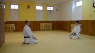 Bassai Dai Bunkai 1KiKarateTanja Mayer [upl. by Olivero620]