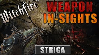 Striga Weapon Insight witchfire [upl. by Tnias430]