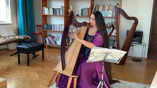 Experience Ma Vielle with an Anatolian Harps creation [upl. by Hera]