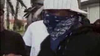 The Game  100 Bloods 100 Crips [upl. by Eerpud]