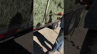 How to tie off your ratchet straps on a load of hay alfalfa hay [upl. by Asirap]