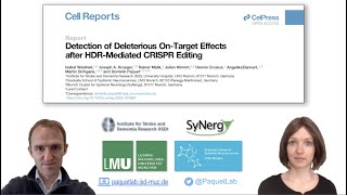 Video abstract  Weisheit et al  Cell Reports 2020 [upl. by Notned461]