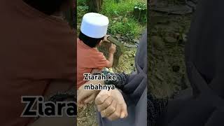 saat anaku ziarah ke makam mbahnya  shorts finofanotv [upl. by Airdnek]