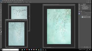 Creating the Winter Blossom Images [upl. by Orfinger]