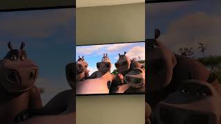 Moto moto madagascar madagascar2 motomoto movie peliculas movieclips [upl. by Benny]