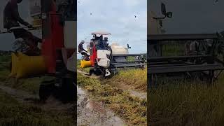 Amazing Harvester Machine automobile shortsviral 046 [upl. by Aseram]