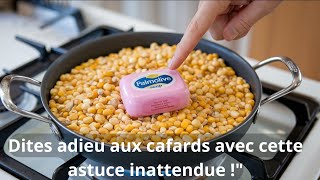 Astuce incroyable pour se débarrasser des cafards avec du popcorn et du savon [upl. by Kragh]