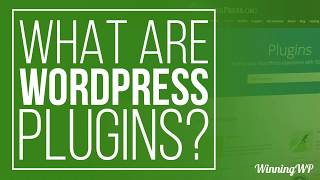 What Are WordPress Plugins  And How To Use Them [upl. by Halilak]