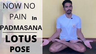 No more pain in padmasana  how to do padmasana  lotus pose step by step step  correction of asana [upl. by Vickie524]