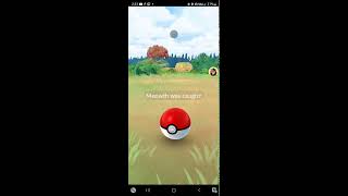 ✨G Bird Whismur Diglett Phanpy Kricketot Shiny Hunt✨ Pokemon Go pokemon pokemongo pokémongo [upl. by Methuselah263]