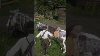 ¿CÓMO CAZAR UN TORO EN PERFECTO ESTADO EN RED DEAD REDEMPTION 2 [upl. by Nere]