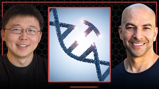 How CRISPR revolutionized the field of gene editing  Peter Attia and Feng Zhang [upl. by Eniwtna423]