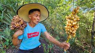 La fruta silvestre piñuela amarilla [upl. by Malamud]