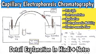 Capillary Electrophoresis Chromatography  Electrophoretic Mobility  Electroosmotic Flow MScNotes [upl. by Geddes197]