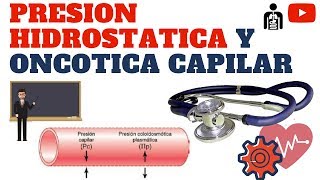 PRESIÓN HIDROSTATICA Y PRESION ONCOTICA CAPILAR [upl. by Essa239]