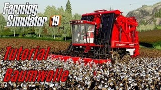 LS19 Baumwolle Tutorial  für Einsteiger [upl. by Gnilsia852]