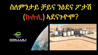 ስለምንታይ ቻይና ንዕደና ፖታሽ ዘይጀመርዎ  Why Chinas SRBG Not Started Colluli Potash Mining In Eritrea [upl. by Leonelle468]