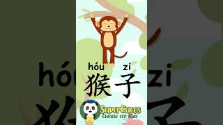 学中文 猴子  Learn Chinese  MONKEY  Aprender Chino  MONO Shorts [upl. by Ahsinet]