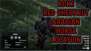 RDR2 RED CHESTNUT ARABIAN HORSE LOCATION [upl. by Mirilla]