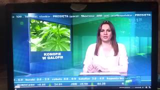 legalne uprawy konopi w Polsce TVP 1 agrobiznes [upl. by Carboni365]