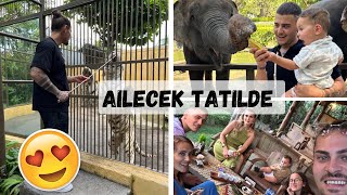 AİLE TATİL VLOGU  HAYVAN SALDIRISINA UĞRADIK  Bali’yi keşfediyoruz 4 günlük vlog  ALMANCILAR [upl. by Yarak]