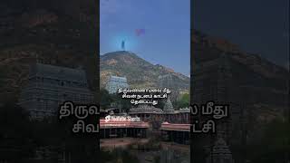 Thiruvannamalai sivan nadanam [upl. by Blayne]