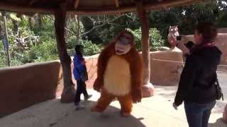 Louie from Jungle Book Disneyland Paris HD [upl. by Orvan]