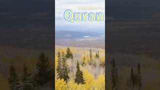 Quran translationQuran translationmotivation Islamic shorts shorts [upl. by Fineberg]